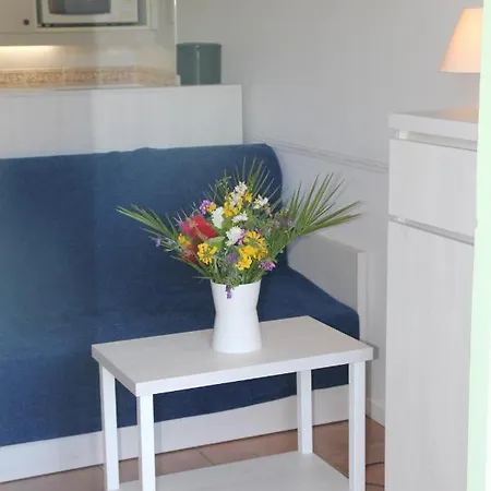 Aparthotel Goelia Le Domaine De La Pinede 3*